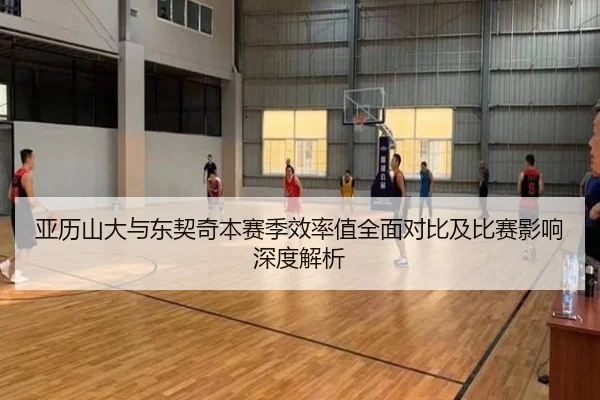 亚历山大与东契奇本赛季效率值全面对比及比赛影响深度解析