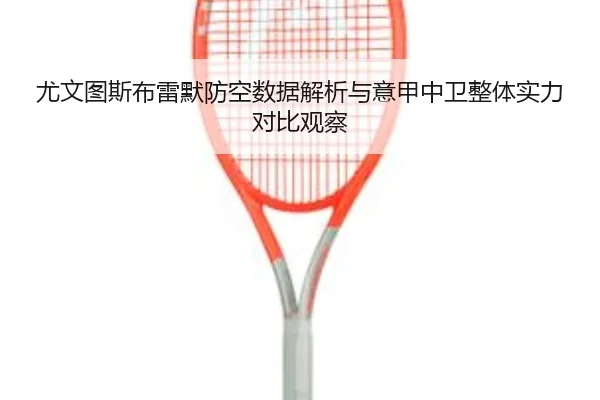 尤文图斯布雷默防空数据解析与意甲中卫整体实力对比观察